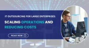 IT Outsourcing for Large Enterprises
